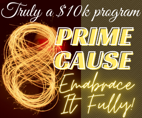 PrimeCause